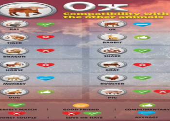 Snake Man and Monkey Woman Compatibility: A Chinese Zodiac Guide