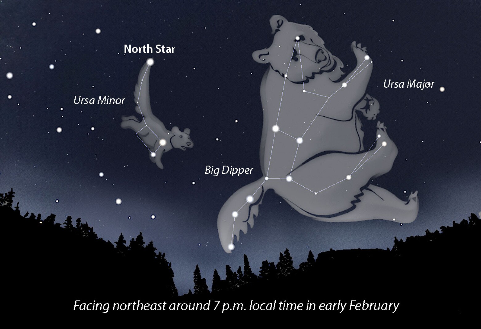 Constellations and Bears: Bear in Constellation Names NYT Explores the Connection